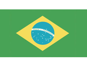 Torneio Marlin do Rio de Janeiro Team Flag | CatchStat.com Live Scoring