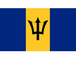 Blue Waters Billfish Invitational Team Flag | CatchStat.com Live Scoring